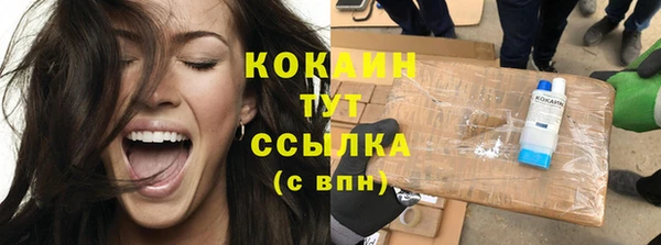 хмурый Лагань