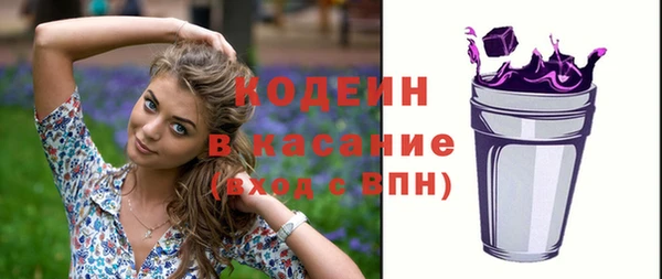 хмурый Лагань