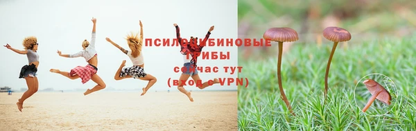 хмурый Лагань