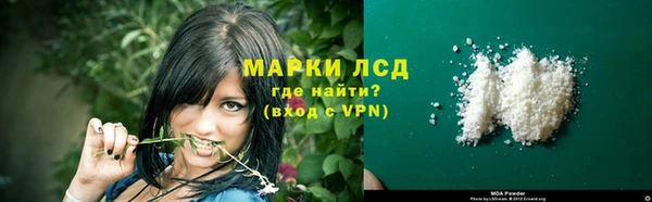 ГАЛЛЮЦИНОГЕННЫЕ ГРИБЫ Липки