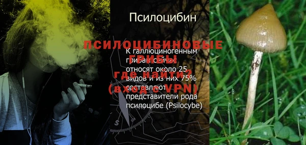таблы Лиски
