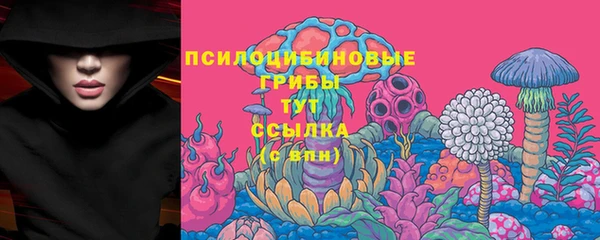 spice Лихославль