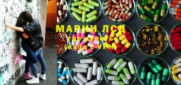 ГАЛЛЮЦИНОГЕННЫЕ ГРИБЫ Липки