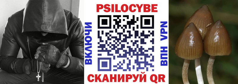 kraken как зайти  Славгород  Галлюциногенные грибы мухоморы 