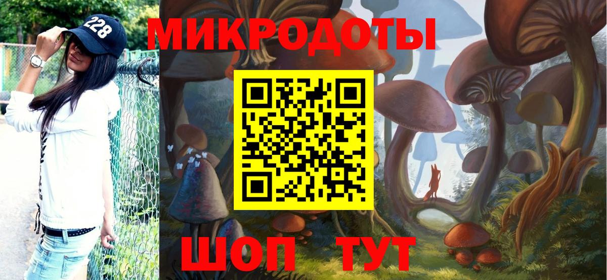 Псилоцибиновые грибы GOLDEN TEACHER Славгород