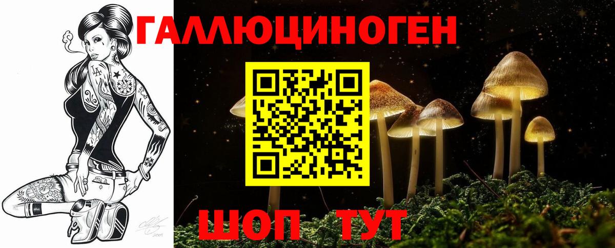 Псилоцибиновые грибы Psilocybine cubensis  Вход с VPN  Славгород 